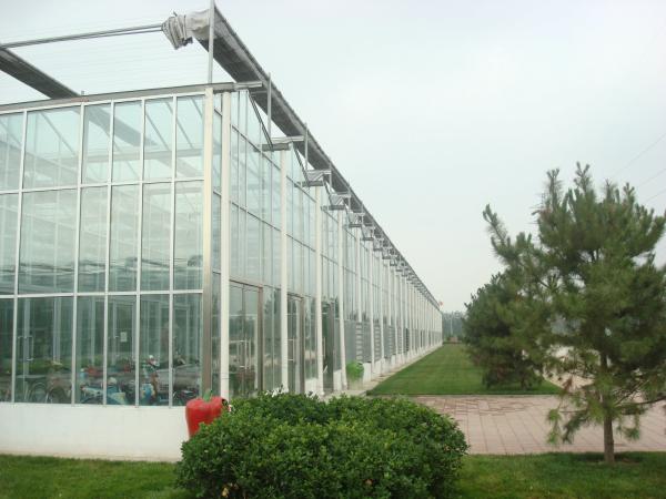 Quality Exquisite Aluminum Frame Glass Greenhouse Gutter Height 3.0m-6.0m Easy Assemble for sale