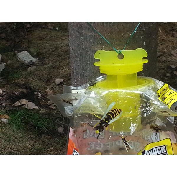 Eco - Friendly Disposable Hanging Fly Trap Wasp Trap Bag