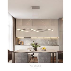 China Unique Hanging Ring Hardware Residential Modern Pendant Light wholesale