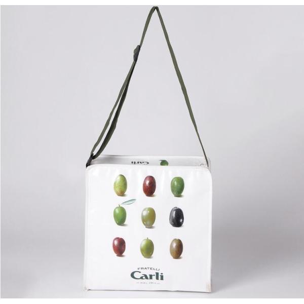 Cooler bags, Non woven bags manufacturer philippines/india/kolkata PP woven bags recycling biodegradable woven bags, the