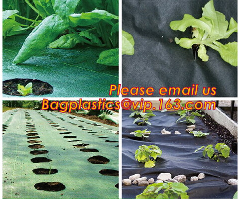 Greenhouse, Agricultural Polyethylene Film, Mulch Films, Horticultural Products, Perforated Wrap, Tomato, Flowers