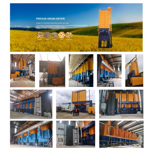 Mix Flow Paddy Dryer Lsu Batch Type Dryer Rice Paddy Dryer Machine