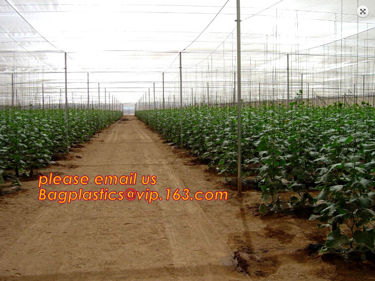 100% new HDPE insect mesh / anti bird net for apple trees,greenhouse anti insect net for plant, agriculture net Anti-ins