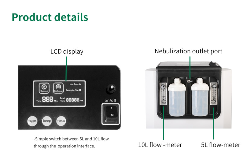 Dual Flow Portable Oxygen Generators 220v 10L Air Compressor Oxygen Concentrator