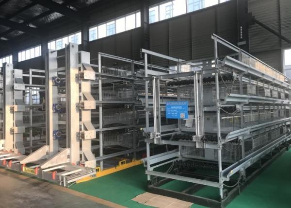 Quality High Tech Automatic Broiler Feeding System Increase Survival Rate ISO9001 Certification for sale