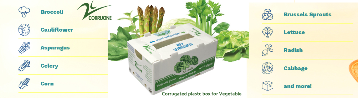 Correx Corn Vegetable Corrugated Boxes Corrugated Plastic Shipping Boxes