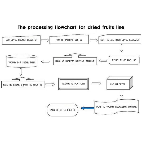 5T/H Dried Fruit Processing Equipment Peeled Core Machine Easy Operation