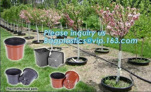 Quality plastic pots for nursery plants clear orchid pots photo,1, 2, 2.5, 3, 5, 7, 10 gallon nursery plastic flower pot,plantin for sale