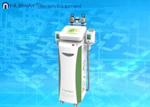 High quality Newest 3 in 1 cryolipolysis machine for home use