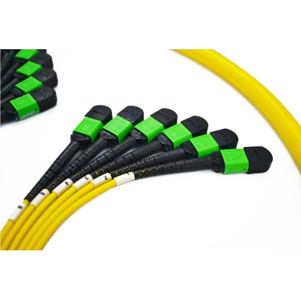 MPO / APC Fiber Optic Trunk Cable 24 Core 48 Core Sm Ofnp