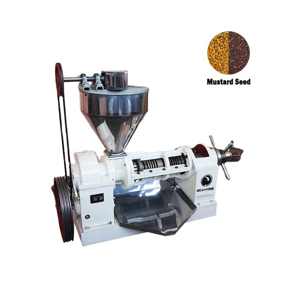 Quality 15kw Oil Squeezer Machine , Soybean Oil Extruder Machine Convenient Clean for sale