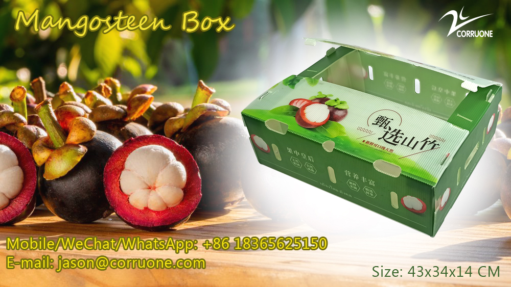 Correx Corn Vegetable Corrugated Boxes Corrugated Plastic Shipping Boxes