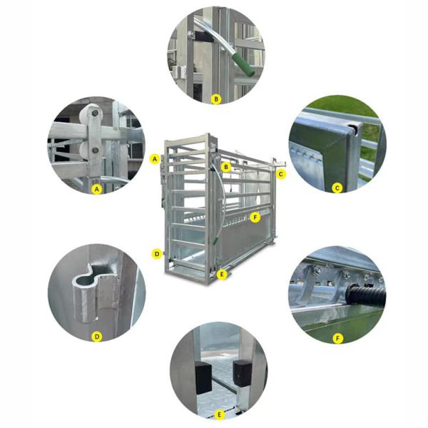 Professional galvanized steel cattle crush for safe and efficient livestock handling. Features adjustable restraints, durable construction, and smooth operation for veterinary work and farm management