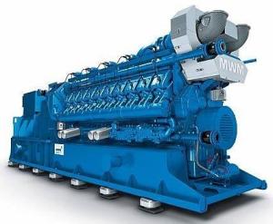 TCG2020 Biogas Engine Generator 50HZ/60HZ Biogas Powered Generator