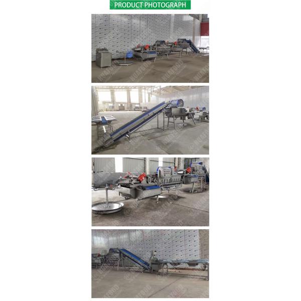 Professional High Efficiency Washing Machine Vegetable Salad Washing Line With CE Certificate