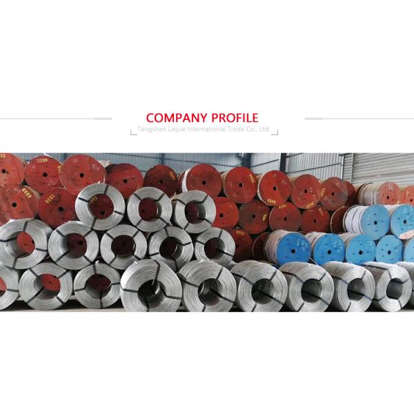 Factory Wholesale China Mattress Frame Edge Support Spring 4.8mm Butterfly Spring for Furniture