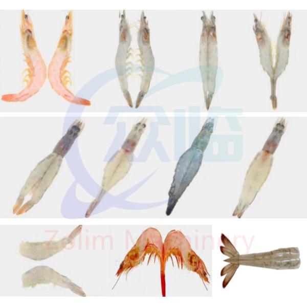 High Speed Shrimp Deveiner, Shrimp Deveining Machine And Prawn Machine