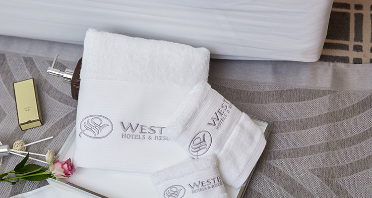 Plain Dyed Hotel Towel Set White Towels Bath Sets Custom Embroidery Logo