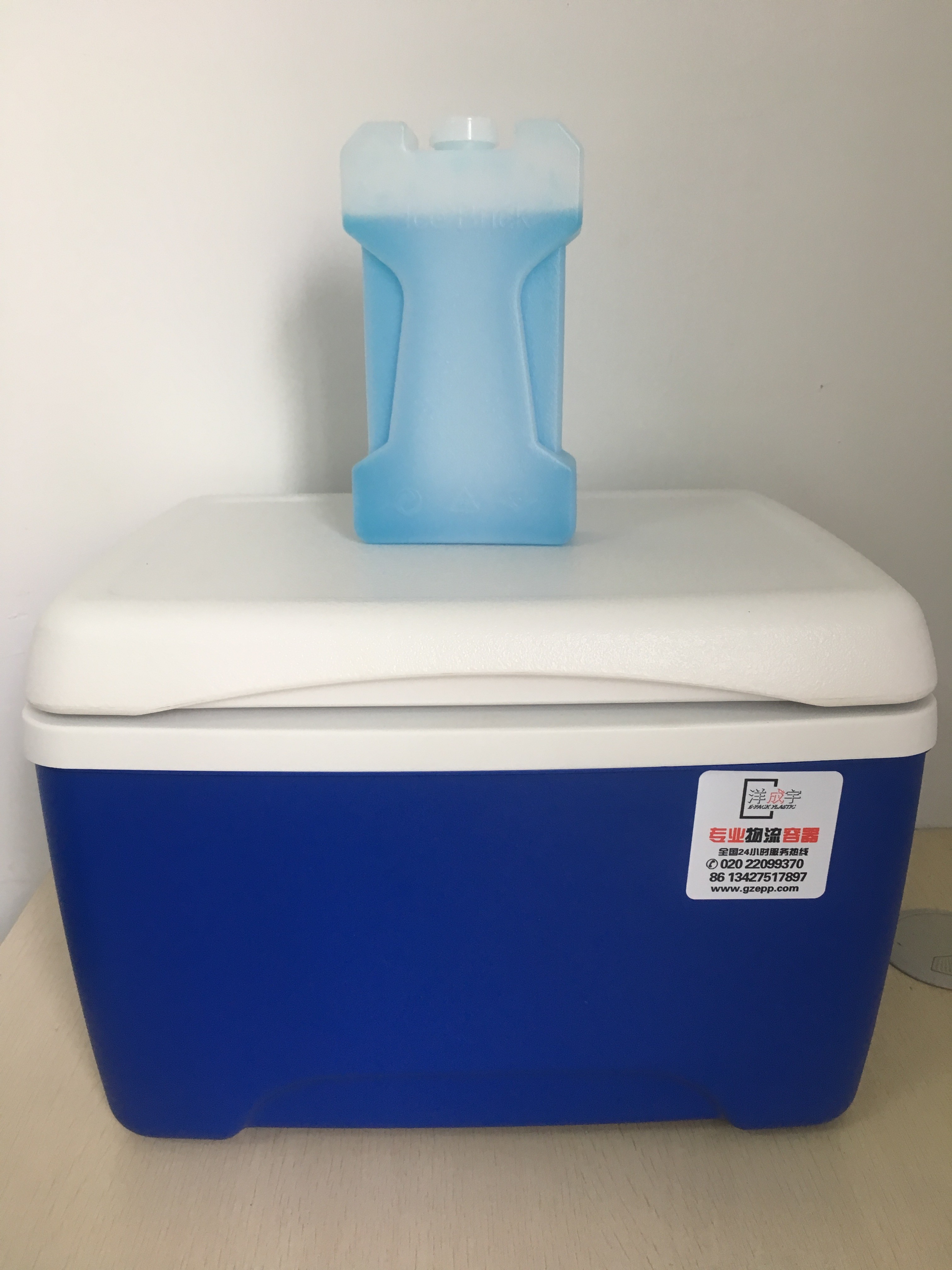 Customized Color 8L Insulated Cooler Box Household Convenient Use Virgin PP EPS Foam