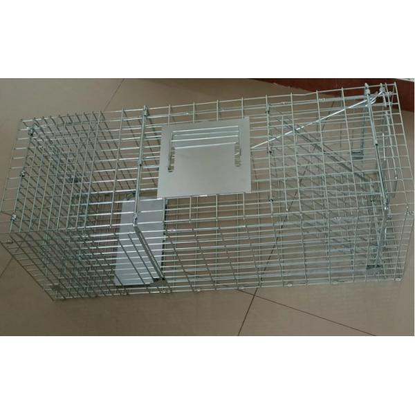 10" Foldable Wire Mesh Mouse Rat Hamster Rabbit Cat Skunk Fox Squirrel Catcher Cage