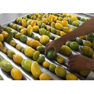 China Advanced Dried Mango Processing Machine / Commercial Mango Drying Machine wholesale