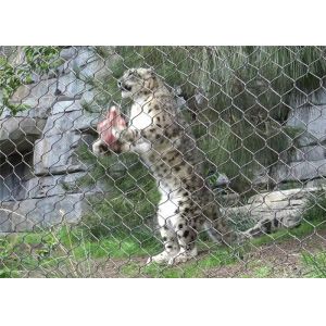 SS 304 Wire Rope Mesh For Lion Enclosure Mesh