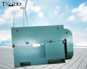 China Y900 High Voltage Electric Motors For Mining Industry 10kv 50hz wholesale