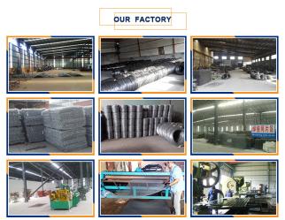 Anping Yaqi Wire Mesh Co.,Ltd