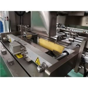 ZH-V720 Vertical Form Seal Machine