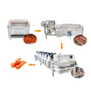 Continuous Food Drying Machine Fruit Bubble Washing Processing Line