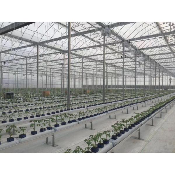 Gutter Height 2-6m Gothic Arch Greenhouse , Shade Net Greenhouse For Ecological Restaurant