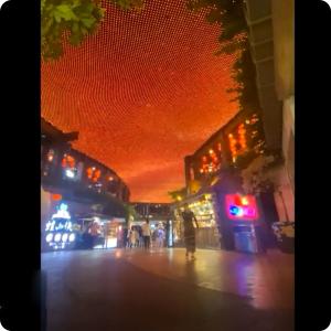 T20-2LEDs Mesh LED Pixel Screen CE RoHS FCC Outdoor Transparent High Brightness