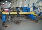 Customized Color CNC Plasma Cutting Machine Gantry Flame Chinese 100A Plasma