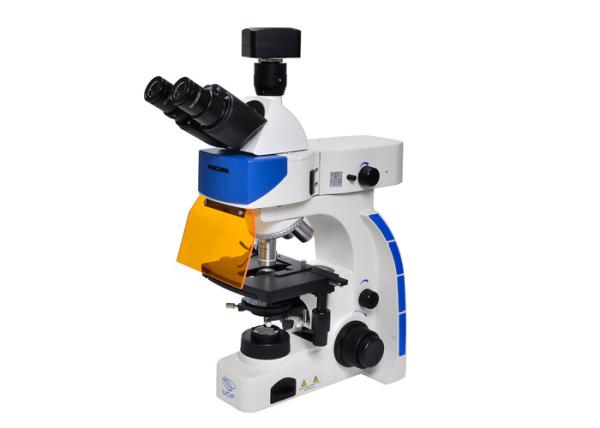 Quality LED Trinocular Upright Fluorescence Microscope with B & G Fluorescence Filter for sale