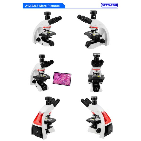 OPTO EDU A16.2263 BGUV Biological Laboratory Trinocular Fluorescent Microscope