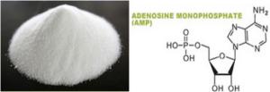 China Adenosine Triphosphate (ATP) wholesale