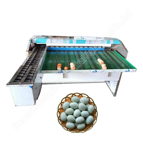 Egg Grader Sorter Egg Weighing Grading Machine Chicken Duck Egg Grading Sorting
