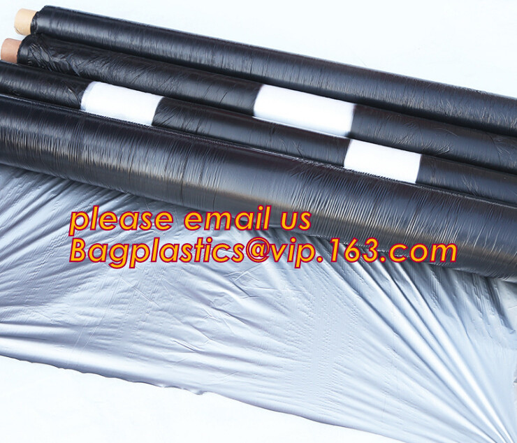 HOTICULTURAL MULCH FILM,AGRICULTURAL PE FILM,MARKET GARDENERS CLOCHE FILM,PE FILM FOR CORN,PLASTIC FILM COVER,TOMATO COV
