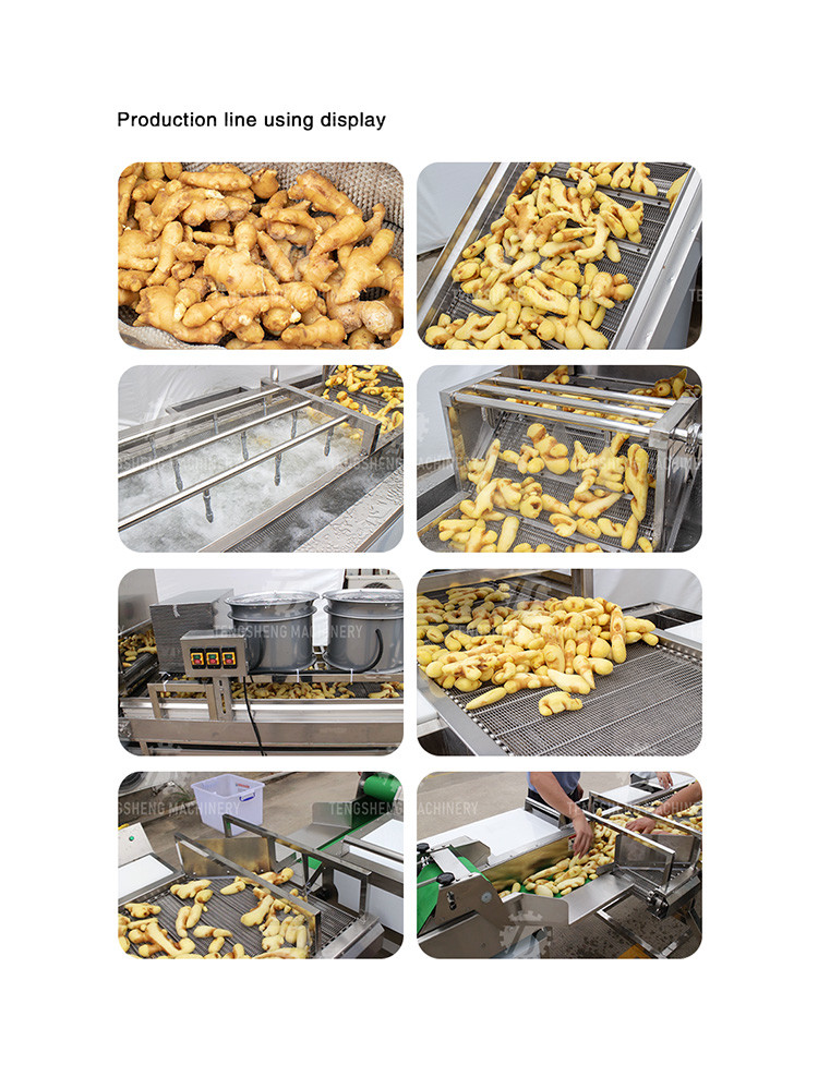 Industrial Fruit And Vegetable Processing Line Brush Bubble Cleaning Drying Selection And Cutting
