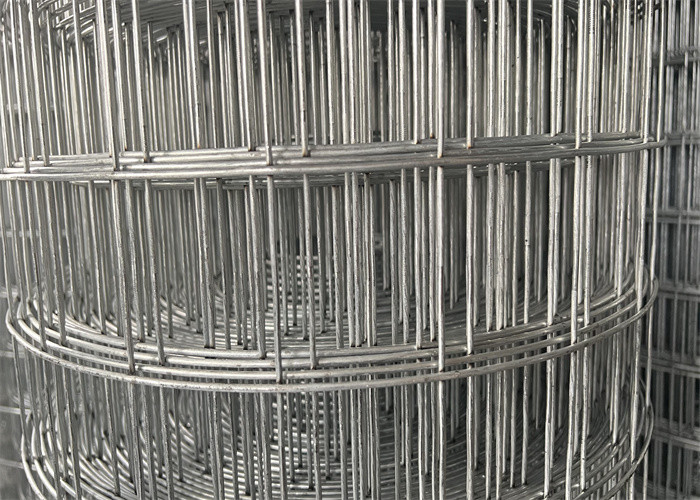 Best Seller 2"X2" Mesh Size High Quality Galvanized Welded Wire Mesh