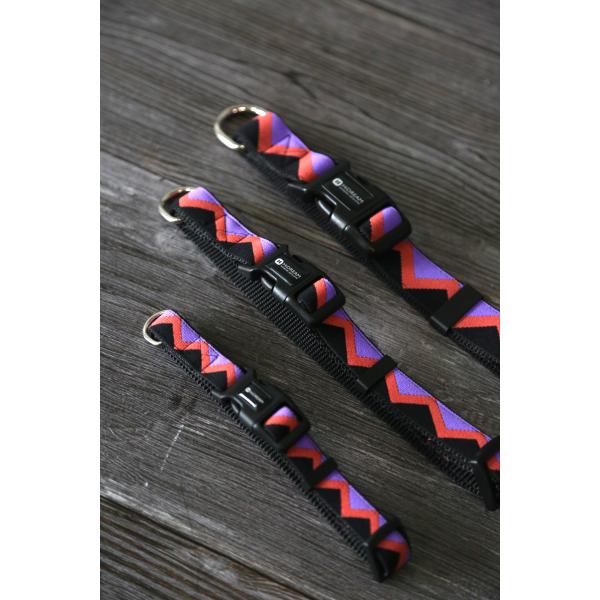 Adjustable Dog Walking Collars And Leashes Rainbow Girl Newborn Puppy Collar