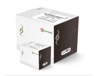 China Nasopharyngeal Swab Saliva Antigen Rapid Test Kit wholesale
