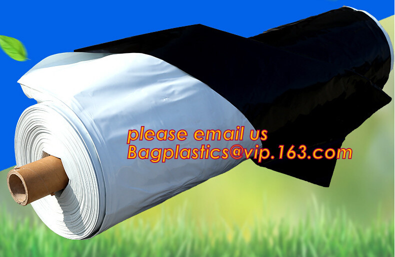 HOTICULTURAL MULCH FILM,AGRICULTURAL PE FILM,MARKET GARDENERS CLOCHE FILM,PE FILM FOR CORN,PLASTIC FILM COVER,TOMATO COV