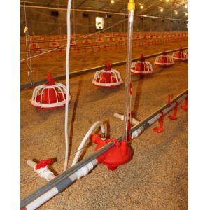 China Example risk assessment for poultry farm: case study wholesale