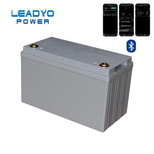Bluetooth 100Ah 12V Lifepo4 Battery 12 Volt Deep Cycle RV Battery
