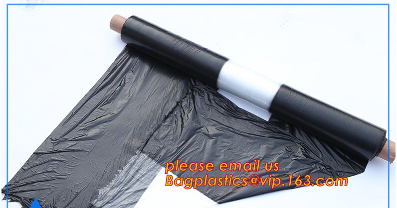 HOTICULTURAL MULCH FILM,AGRICULTURAL PE FILM,MARKET GARDENERS CLOCHE FILM,PE FILM FOR CORN,PLASTIC FILM COVER,TOMATO COV
