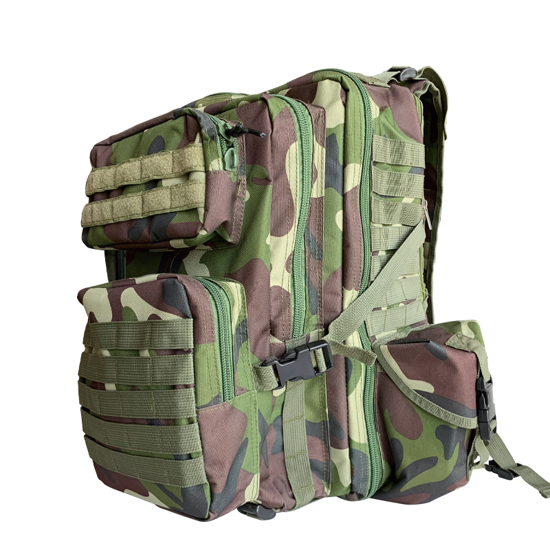 Outdoor Hiking Multi-Function Sport Bag with Carrying System Physiological Curve Back