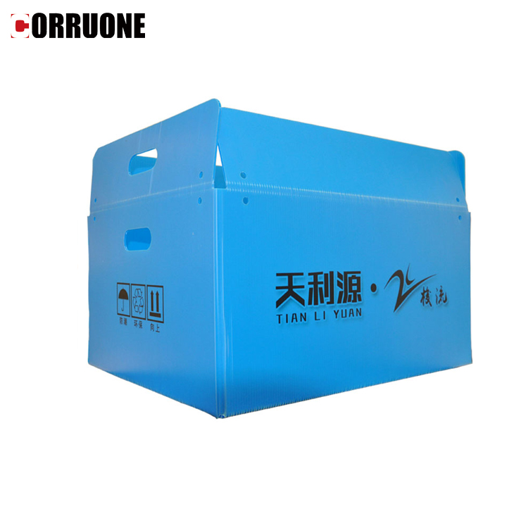 Asparagus Corrugated Plastic Produce Boxes Food Grade Black White