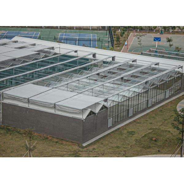 High Transmittance, Weld-Free VENLO Greenhouses For Premium Crop Seedlings & Growth