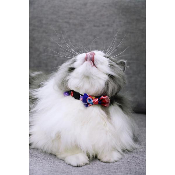 Kitten Reflective Cute Breakaway Bow Tie Cat Collar With Bell